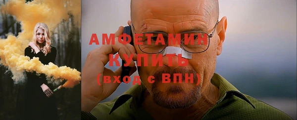 мет Алексин