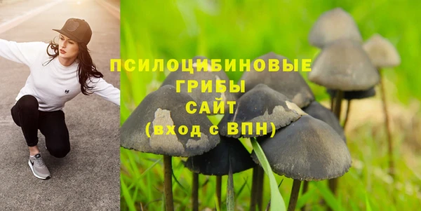 мет Алексин